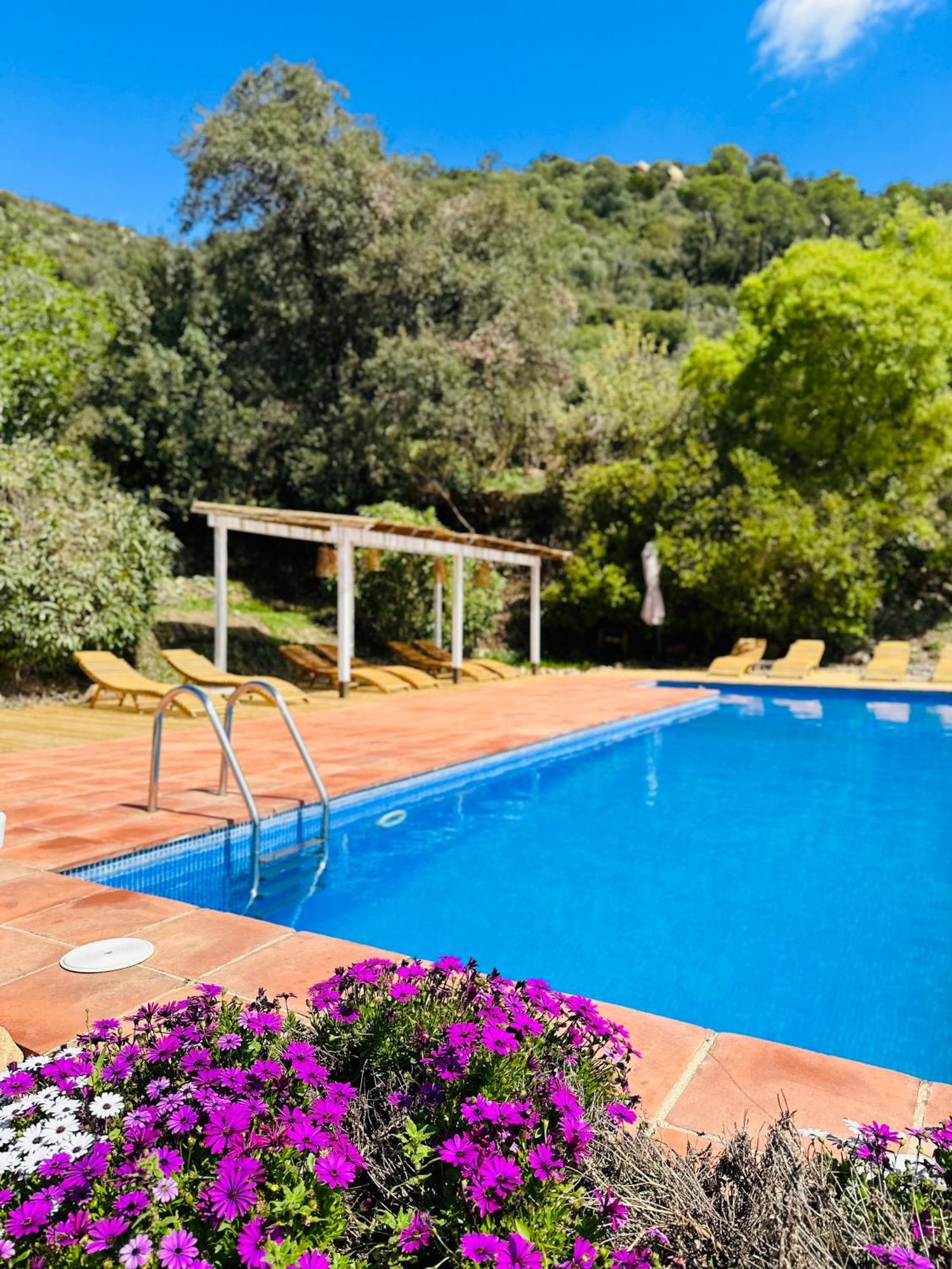 B&B La Vista Brava Platja d'Aro Exterior photo